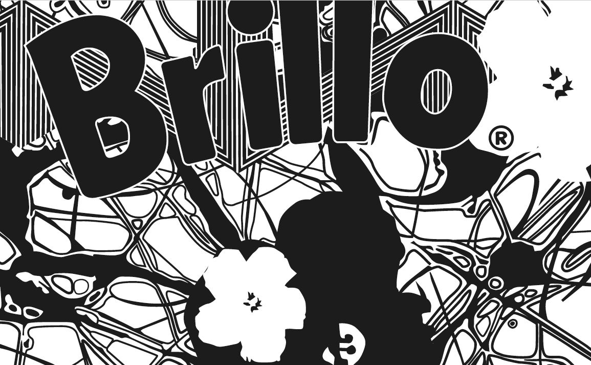 Brillo.png width='300'