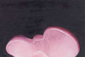 Qualle / Violetter Rötelritterling (2007) Öl auf Hartfaserplatte (17,5 cm x 25 cm)