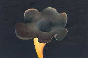 Trompetenpfifferling (2006) Öl auf Hartfaserplatte (17,5 cm x 25 cm)