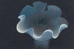 Nebelkappe (2007) Öl auf Hartfaserplatte (17,5 cm x 25 cm)